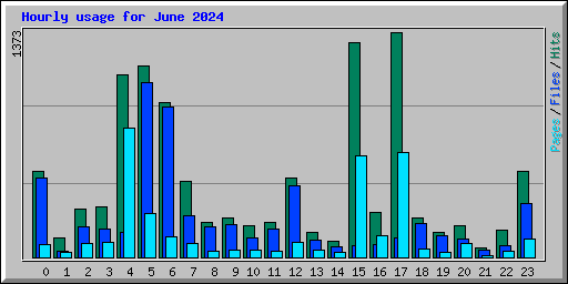 Hourly usage for June 2024