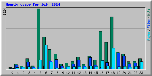 Hourly usage for July 2024
