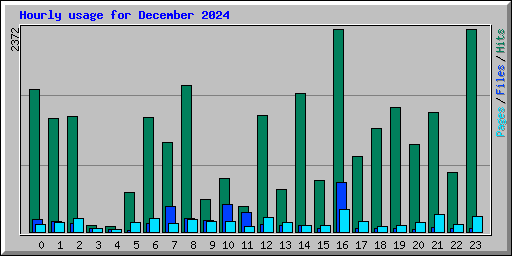 Hourly usage for December 2024