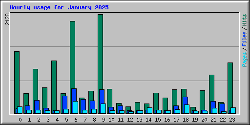 Hourly usage for January 2025