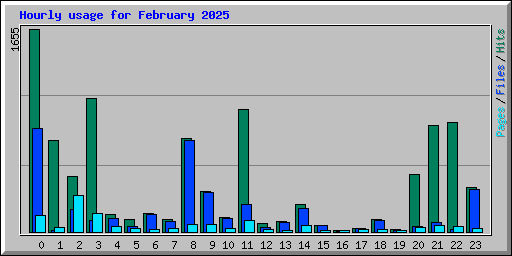 Hourly usage for February 2025
